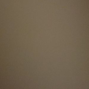 Meet your Posher, Behnazir